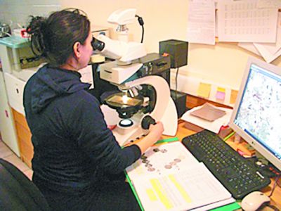 prehistory_aristoteleio