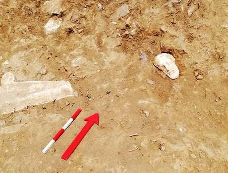 eksobourgo_tenos_grave_stele